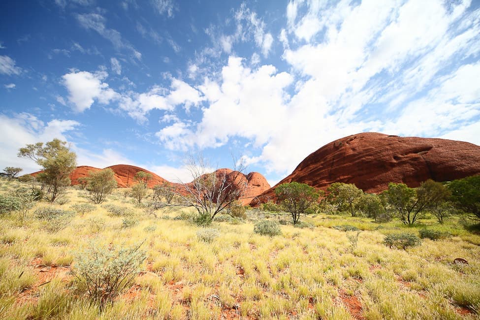 uluru_2324.jpg